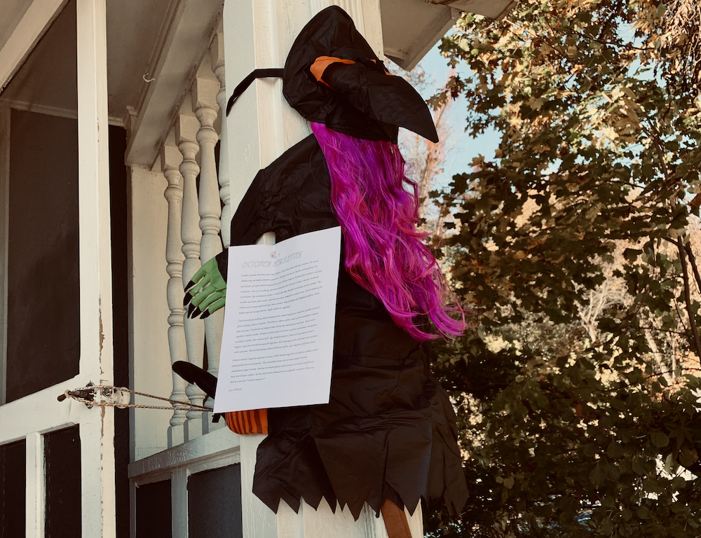 Photo of witch crashing into house taken by Julia Damerow